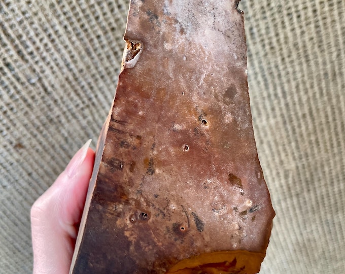 1 lb Blue Biggs Picture Jasper Rough Cut Lapidary Mineral Specimen