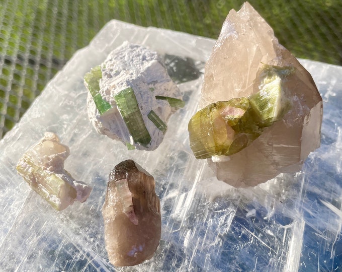 Watermelon Tourmaline Crystal Mineral Display Specimens Set of 4