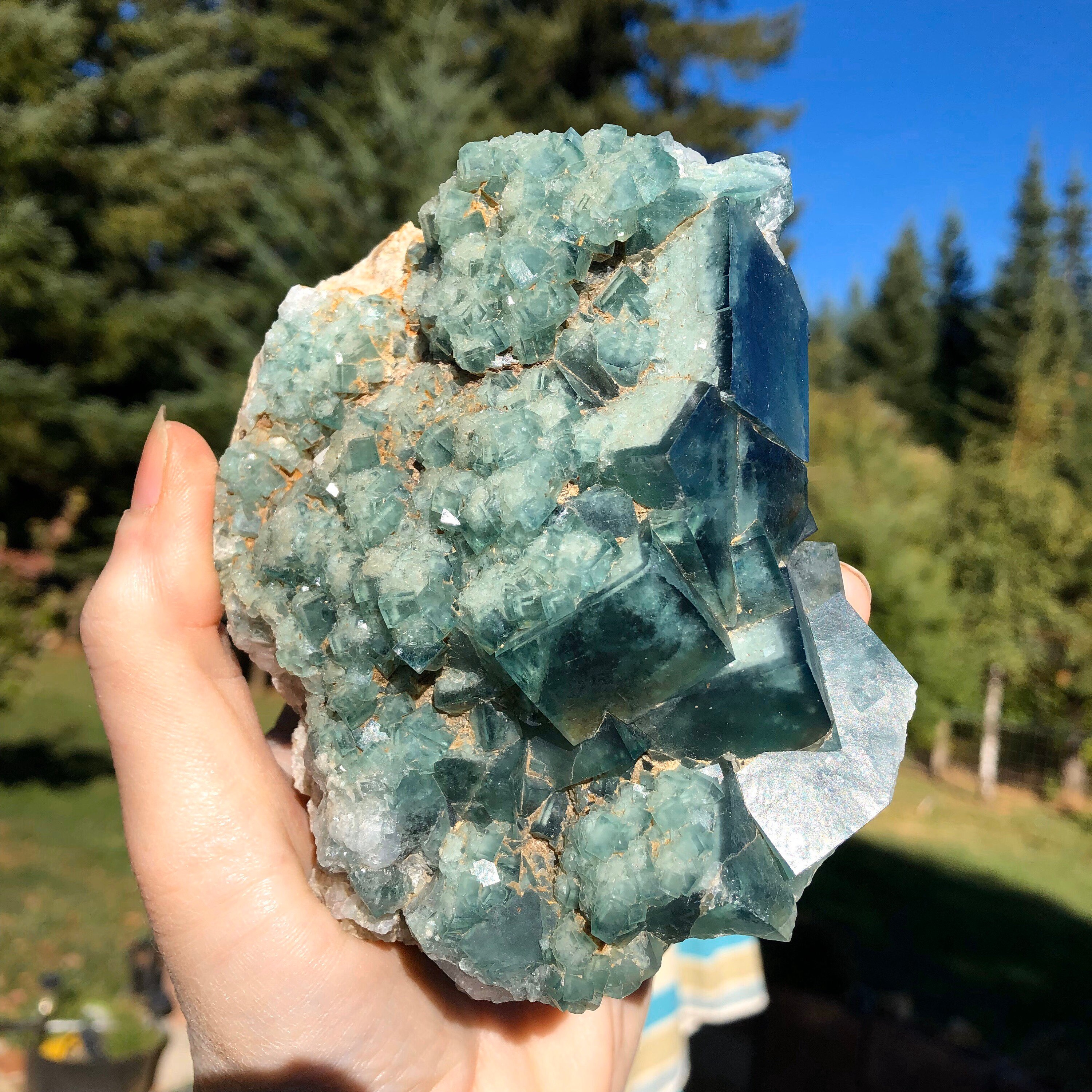 Large Dark Green Cubic Fluorite Crystal Cluster with Druzy Light Green
