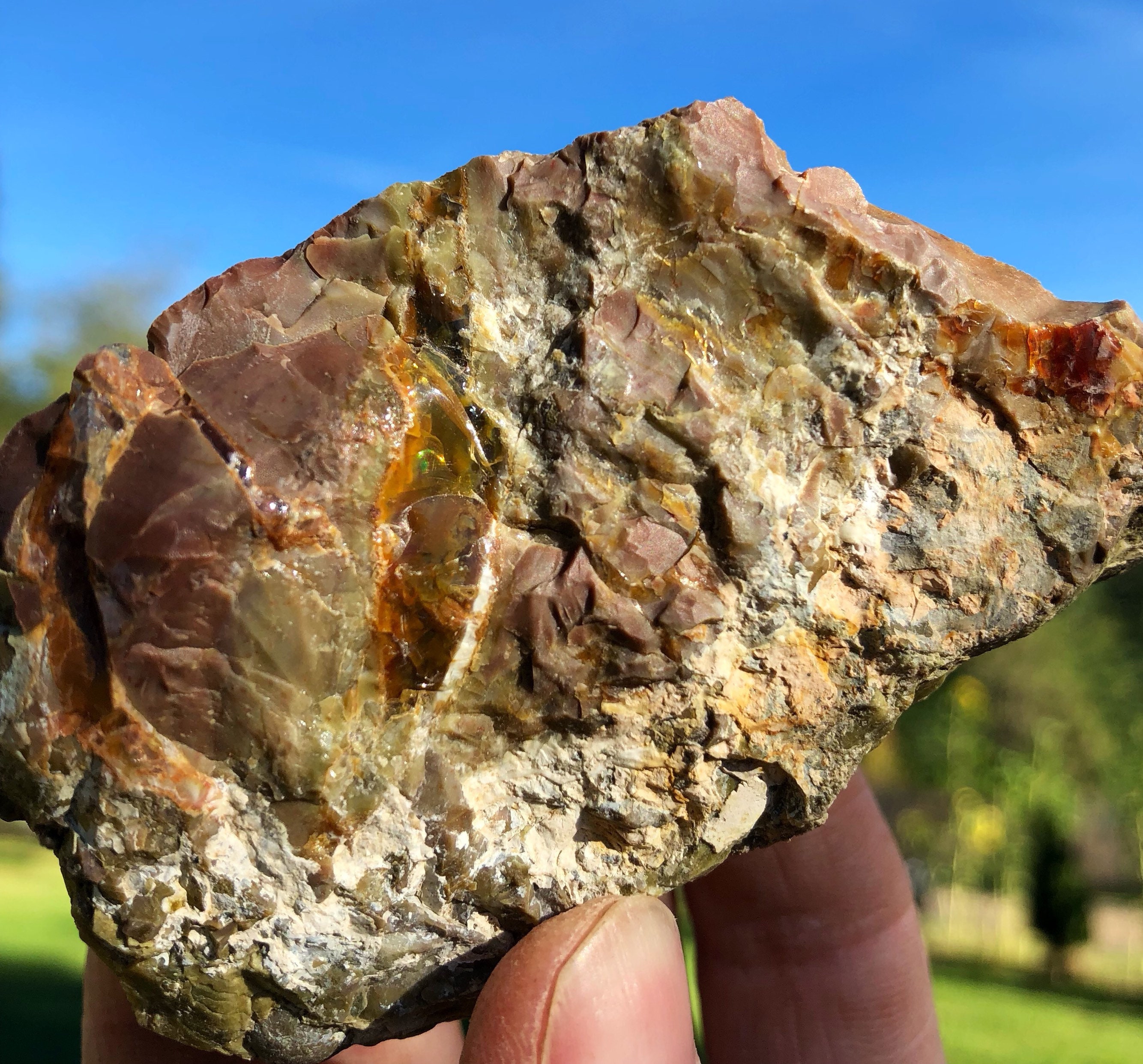 2 pieces of Oregon Opal in Rhyolite Jasper display specimens