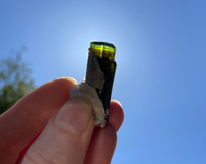 Terminated Green Cap Tourmaline Crystals Set of 4