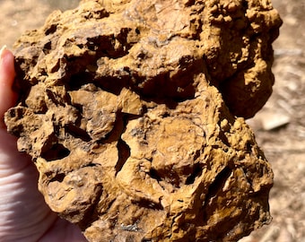 3.83 lbs Botryoidal Orange Jasper Lapidary Rough