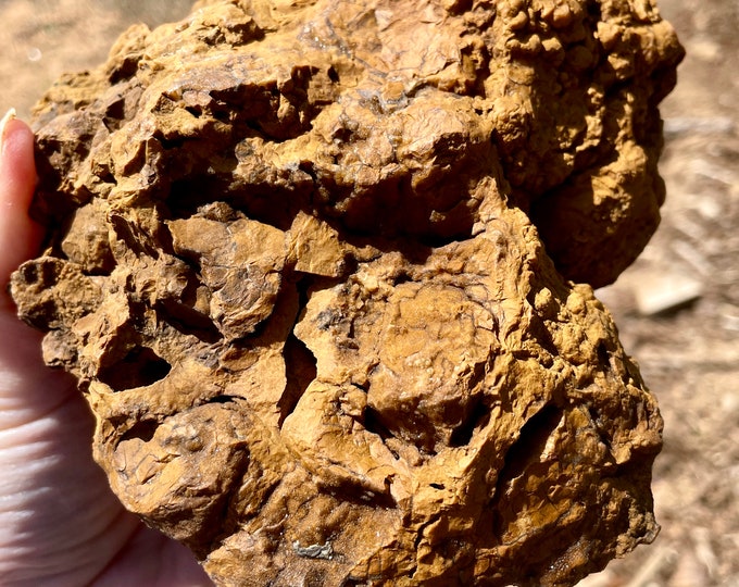3.83 lbs Botryoidal Orange Jasper Lapidary Rough
