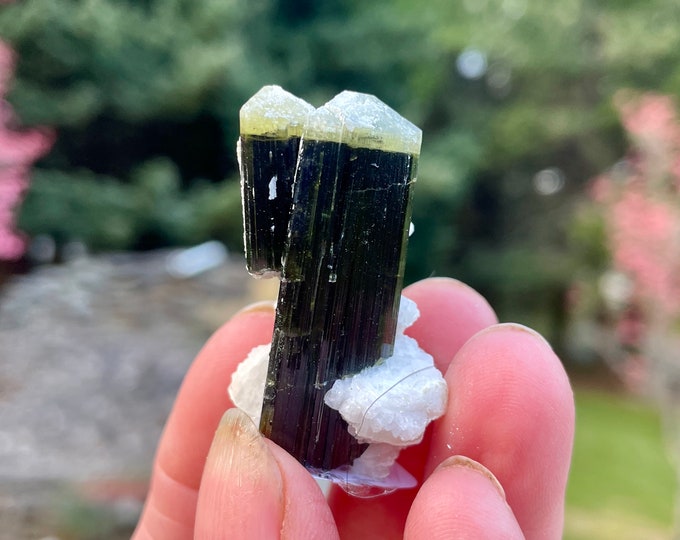 Green Cap Tourmaline Crystal Twin 20.89 grams