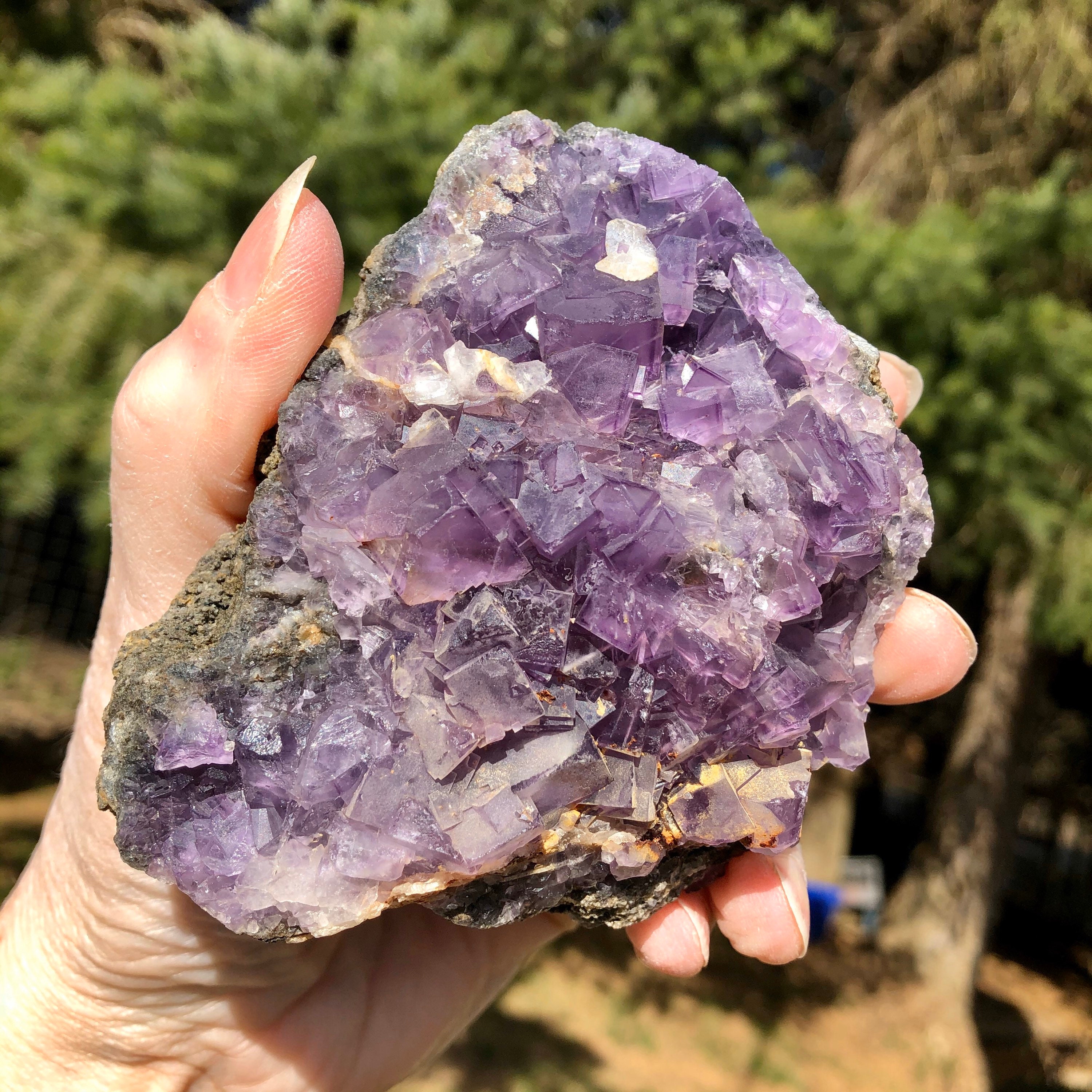 purple crystal purple crystal