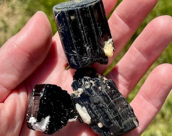 Terminated Black Tourmaline Crystal Mineral Display Specimens Set of 3
