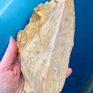 Sunset Porcelain Jasper Mineral Display Specimen 1.79 lbs