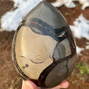 Septarian Nodule Egg Mineral Display Specimen 4.33 lbs