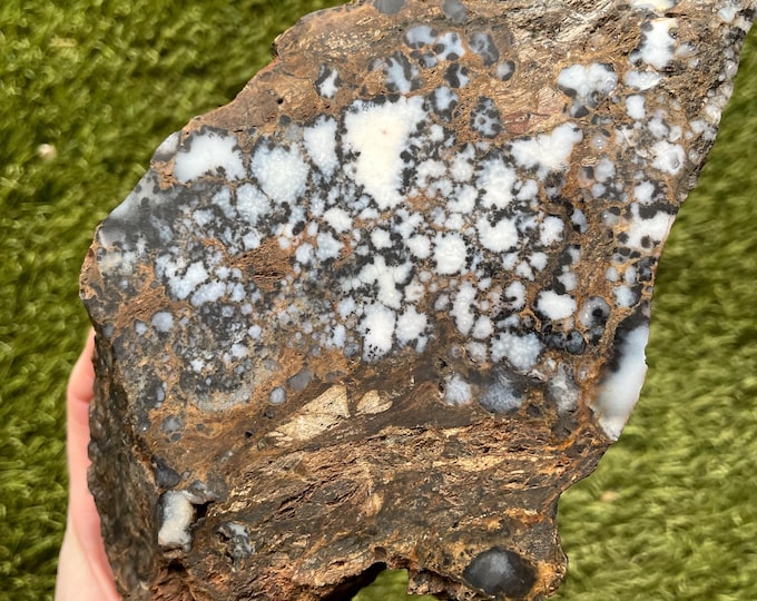 Opal Jasper cut Mineral Display Specimen 3.62 lbs