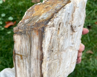 Agatized Petrified Wood Standing Mineral Display Specimen 8.79 lbs