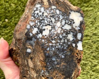 Opal Jasper cut Mineral Display Specimen 3.62 lbs