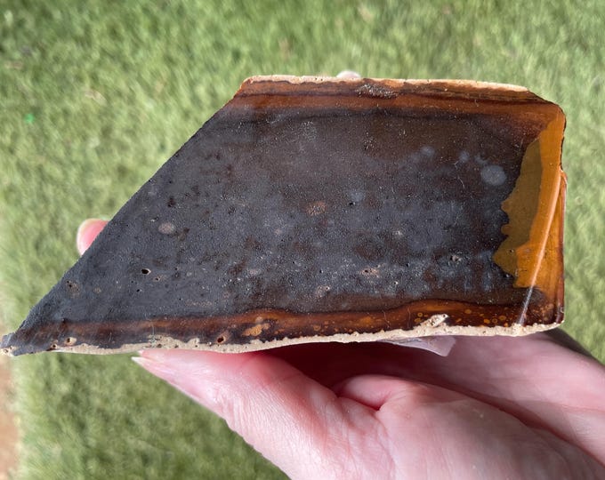 1 lb Blue Biggs Picture Jasper Rough Cut Lapidary Mineral Specimen