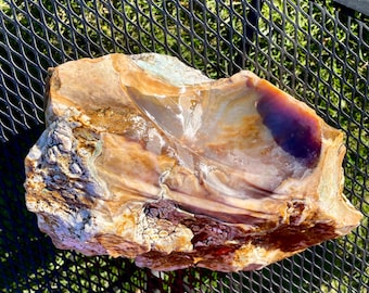 Opal Mineral Display Specimen 22.87 lbs