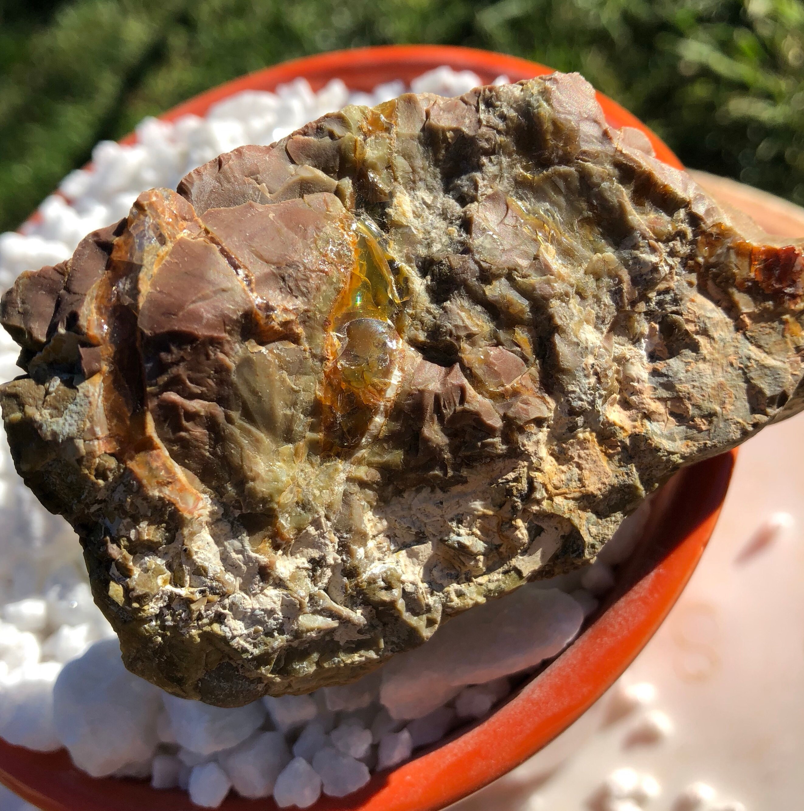 2 pieces of Oregon Opal in Rhyolite Jasper display specimens