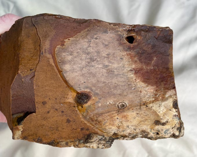 8 lb Biggs Picture Jasper Rough Lapidary Mineral Specimen