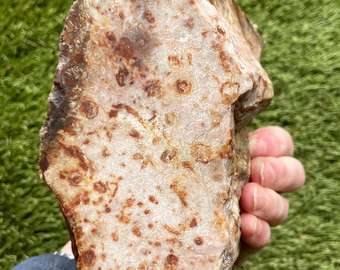 Oregon Picture Jasper Rough Lapidary Mineral Specimen 4.25 lbs