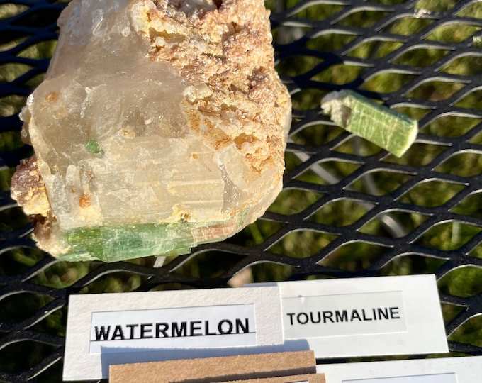 Watermelon Tourmaline Crystal Cluster 1.35 lbs