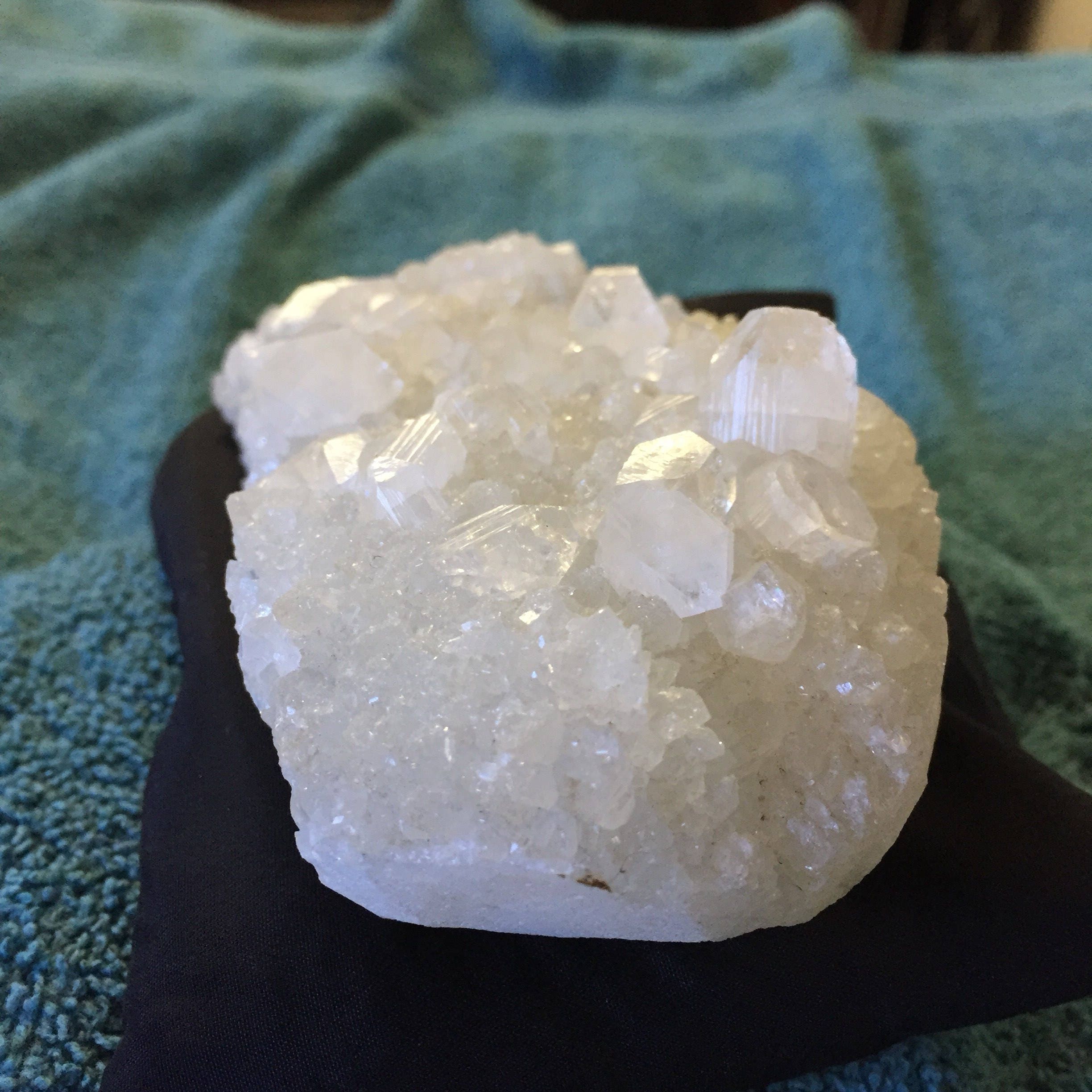 ammonite healing properties ammonite healing properties