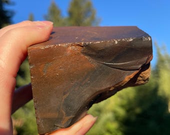 540g Deschutes Picture Jasper Rough Lapidary Specimen