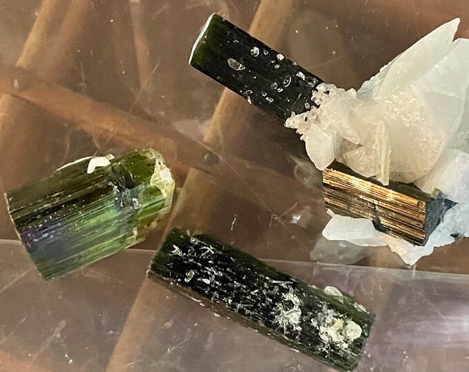 Terminated Green Cap Tourmaline Crystals Set of 3