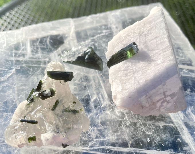Gem Green Tourmaline Crystals in matrix Set of 3