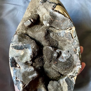 Septarian Nodule Egg Mineral Display Specimen 4.43 lbs