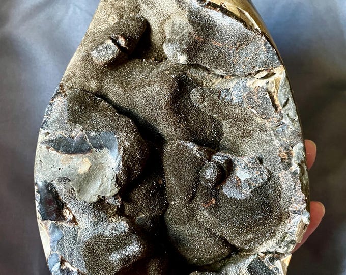 Septarian Nodule Egg Mineral Display Specimen 4.43 lbs