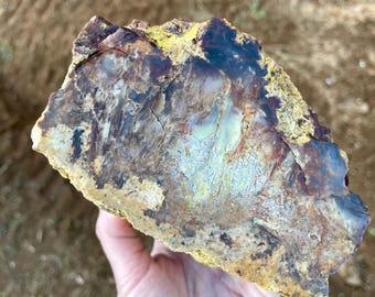 Oregon Picture Jasper Rough Lapidary Mineral Specimen 4.53 lbs