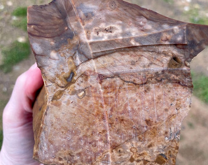 4.18 lb Biggs Picture Jasper Rough cut Lapidary Mineral Specimen