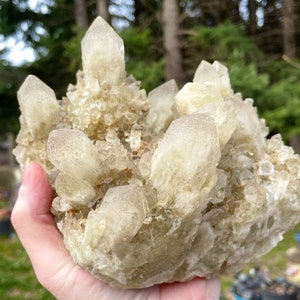 Smoky Quartz Crystal Cluster Mineral Display Specimen 4.72 lbs