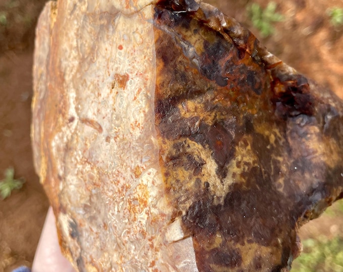 Oregon Picture Jasper Rough Lapidary Mineral Specimen 4.46 lbs