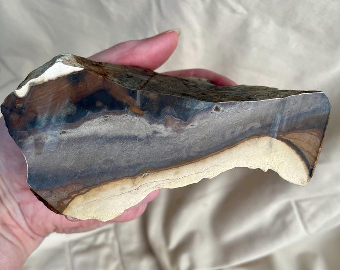 348g Blue Biggs Picture Jasper Rough Cut Lapidary Mineral Specimen