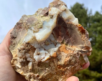 1.76 lb Oregon Opal in Rhyolite Jasper from Opal Butte Mineral Display Specimen