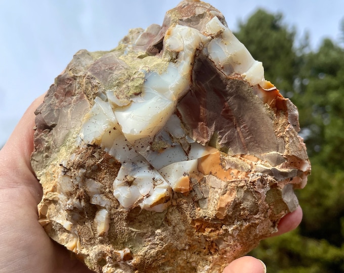 Oregon Opal in Rhyolite Jasper from Opal Butte Mineral Display Specimen 1.76 lbs
