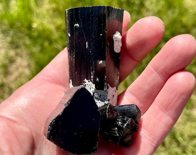 Terminated Black Tourmaline Crystal Mineral Display Specimens Set of 3