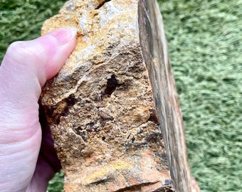 Oregon Picture Jasper Rough Lapidary Mineral Specimen 3.28 lbs