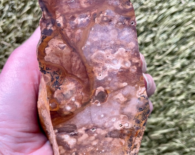 1.3 lb Biggs Picture Jasper Rough cut Lapidary Mineral Specimen