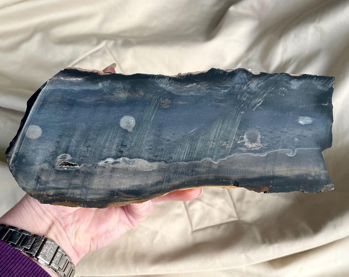 4.3 lb Blue Biggs Picture Jasper Rough Cut Lapidary Mineral Specimen
