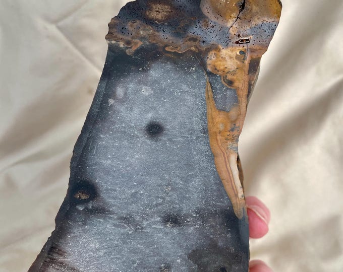 1.9 lb Blue Biggs Picture Jasper Rough Cut Lapidary Mineral Specimen