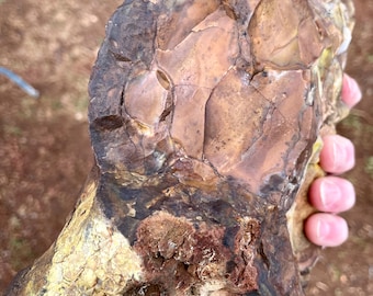 Biggs Picture Jasper Rough Lapidary Mineral Specimen 8.73 lbs