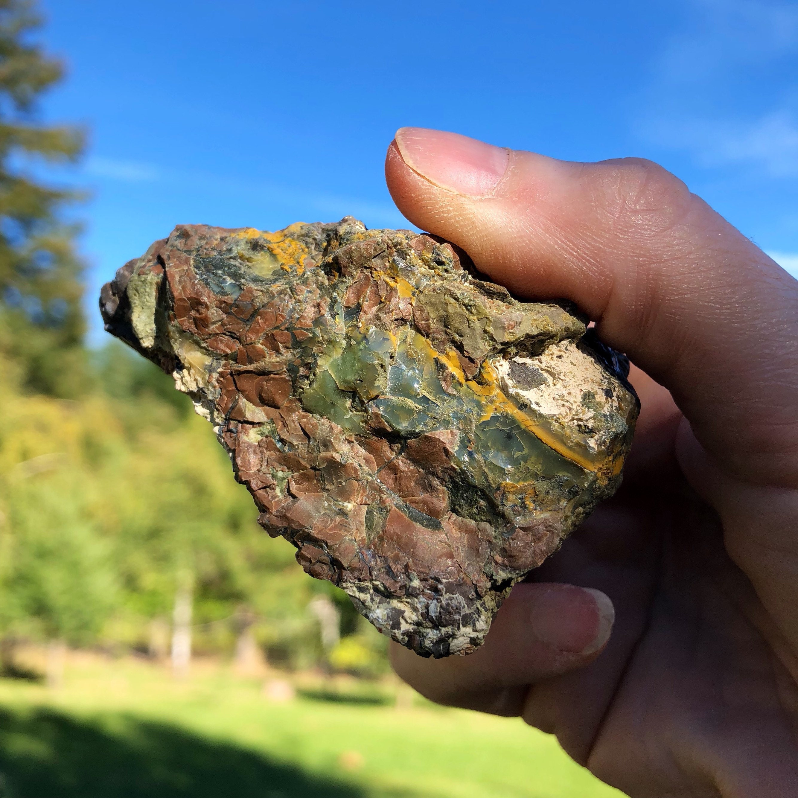 2 pieces of Oregon Opal in Rhyolite Jasper display specimens