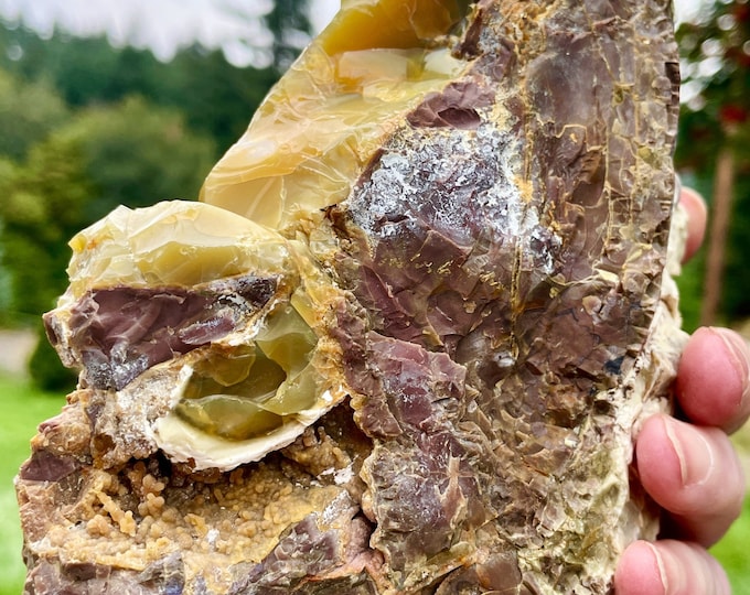 Green Oregon Opal on Rhyolite Jasper Mineral Display Specimen 3.37 lbs