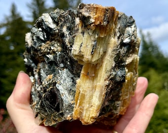 Yellow Tourmaline in Biotite and Quartz 2.91lb