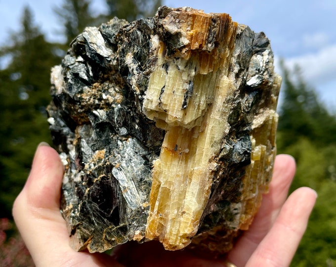 Yellow Tourmaline in Biotite and Quartz 2.91lb