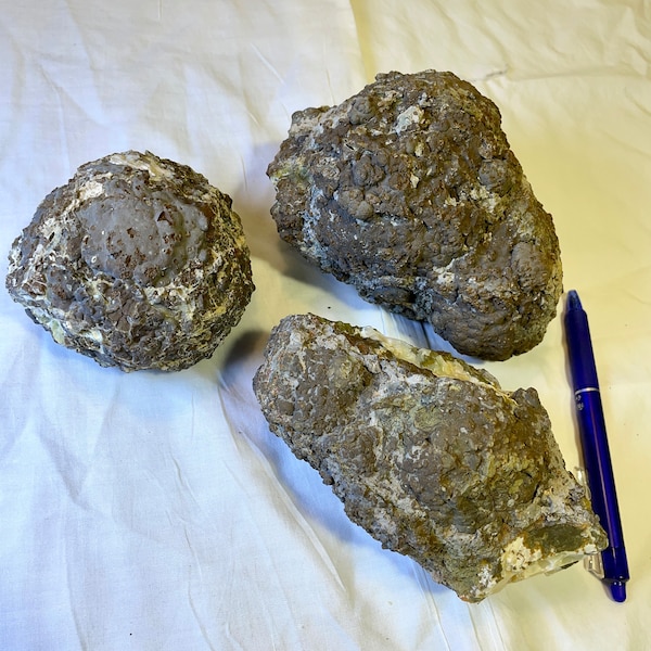 Uncut Thunder Eggs Etsy