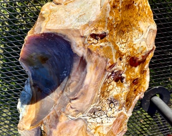 Opal Mineral Display Specimen 22.87 lbs