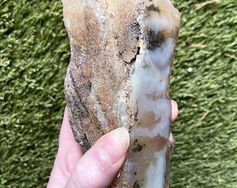 Plume Agate Mineral Display or Lapidary Specimen 2.2 lbs
