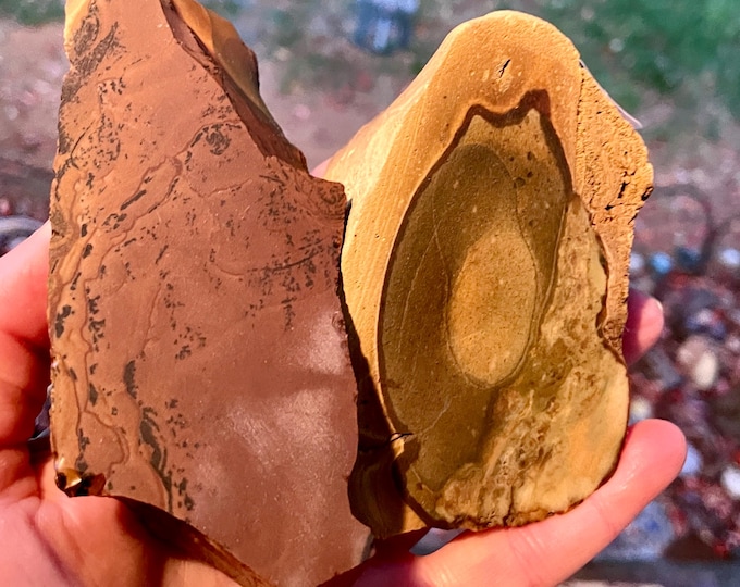 Blue Biggs Jasper and Deschutes Jasper Rough Lapidary Stones 434 grams