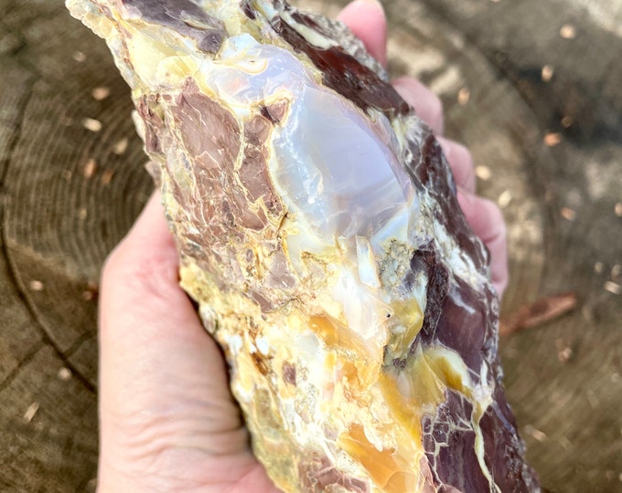 Old Stock Oregon Opal on Rhyolite Jasper Mineral Display Specimen 1.58 lbs