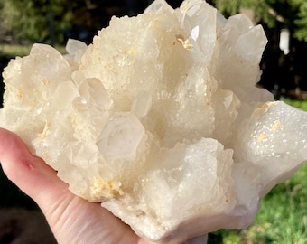 6.58 lb Pineapple Quartz Crystal Cluster Mineral Display Specimen